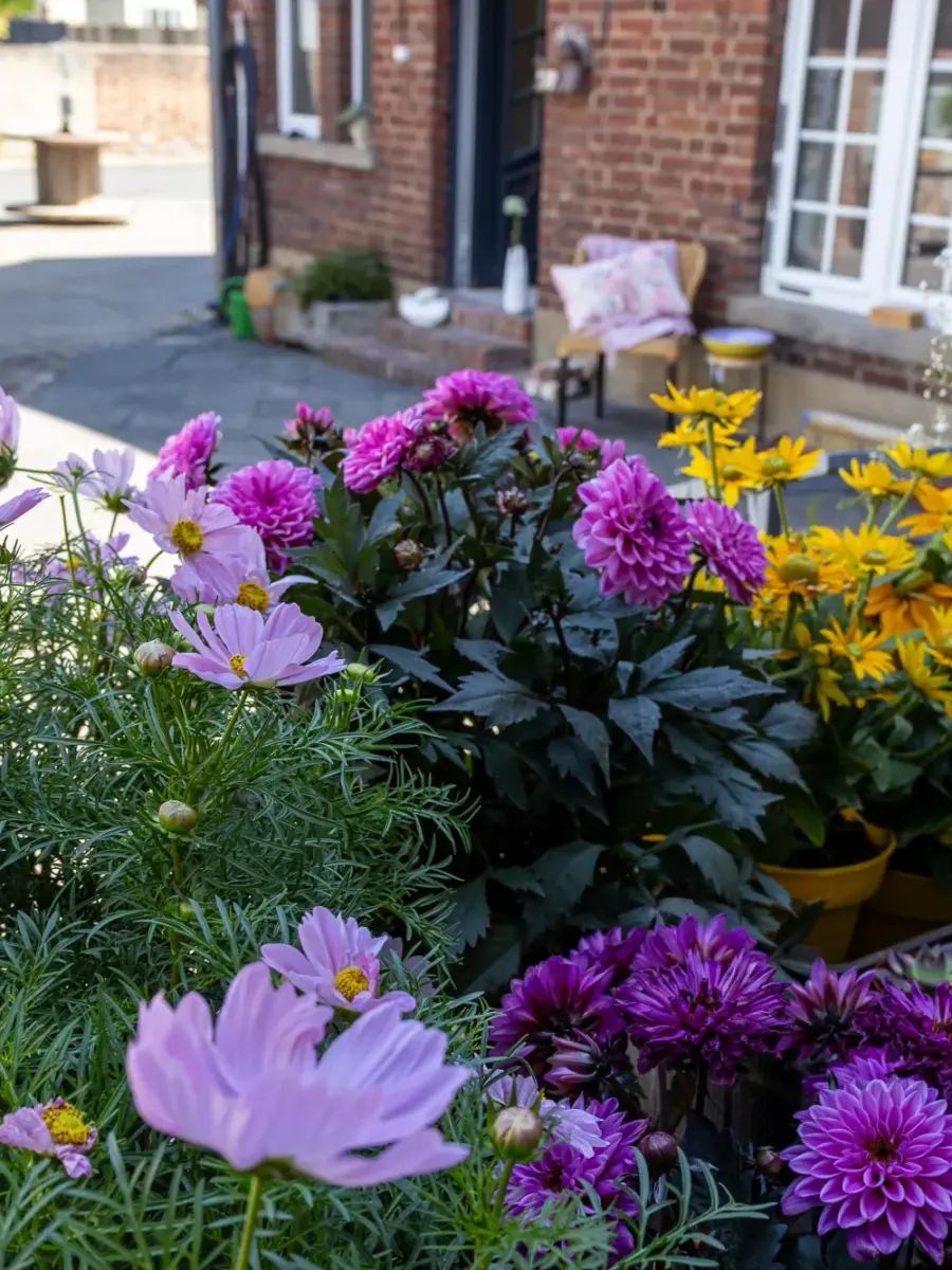 Floristik vom Blumenkörbchen