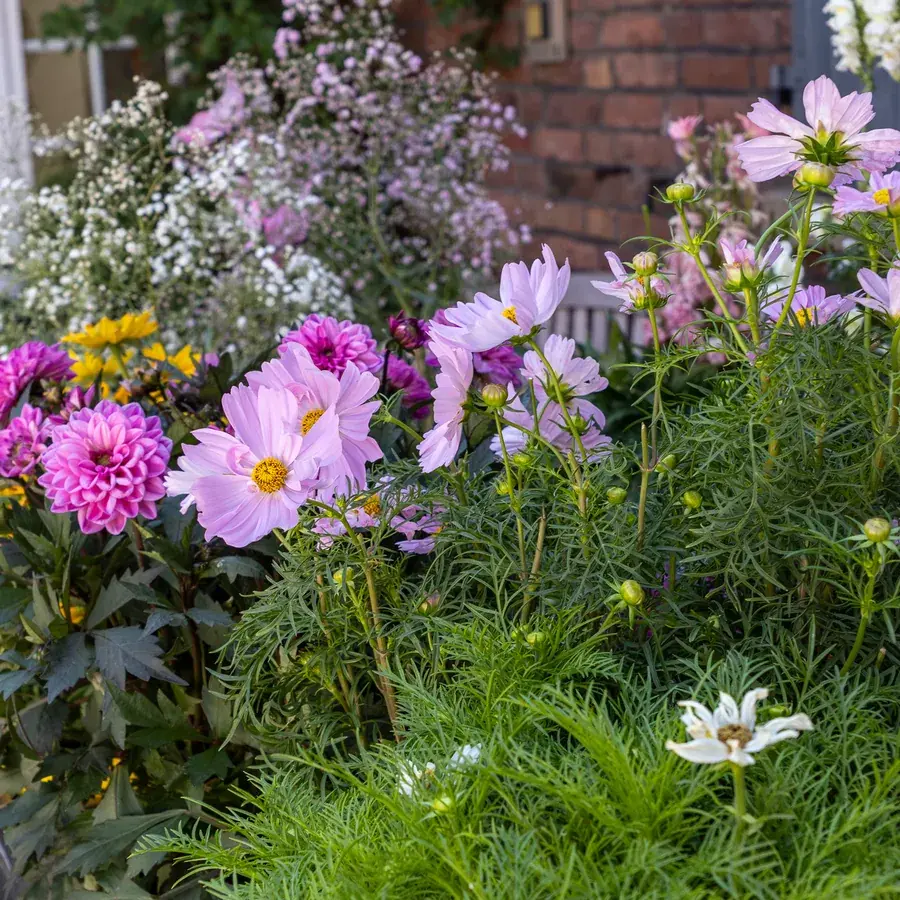 Blumenkörbchen in Grevenbroich-Neurath